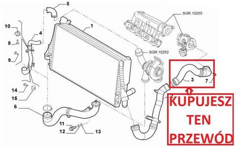 Wąż turbo FIAT CROMA 2.4JTD 200PS 05-10 51791374